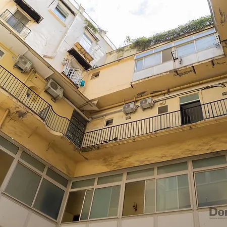 Olivia's By Domusextra